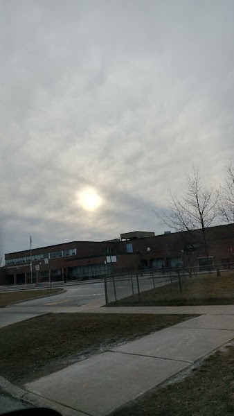 METRO ANDREI SCHOOL