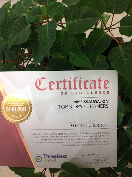 MEENA CLEANERS