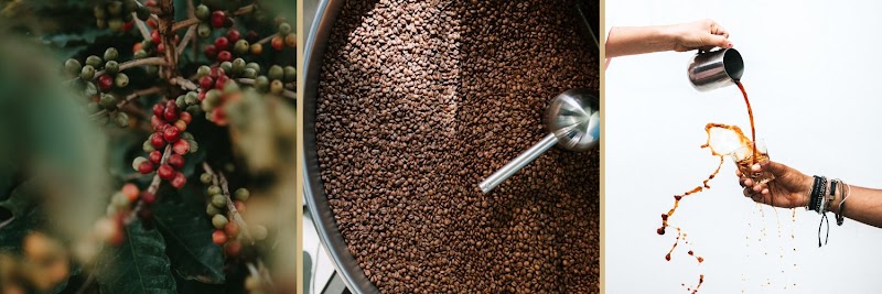 Muldoon's Own Authentic Coffee Corp