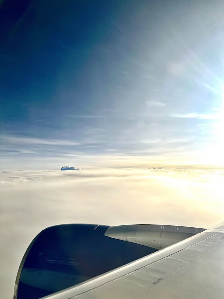 Delta International