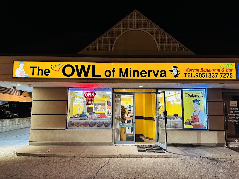 Owl of Minerva