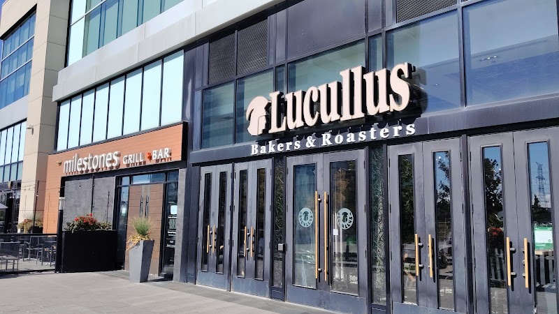 Lucullus Bakers & Roasters