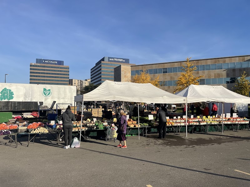 Farmer's Market Etobicoke