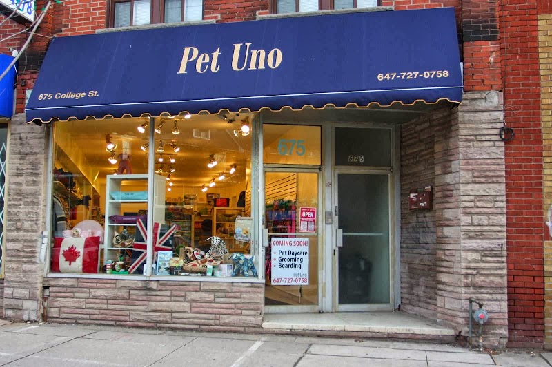 Pet Uno