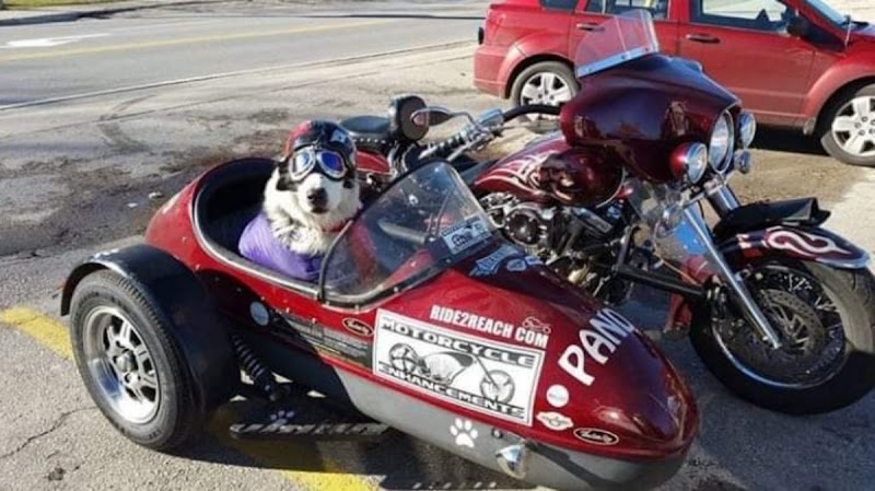 MMOTORCYCLE ENHANCEMENTS