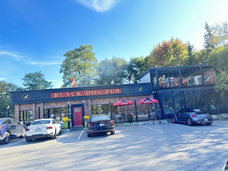 The Black Dog Pub