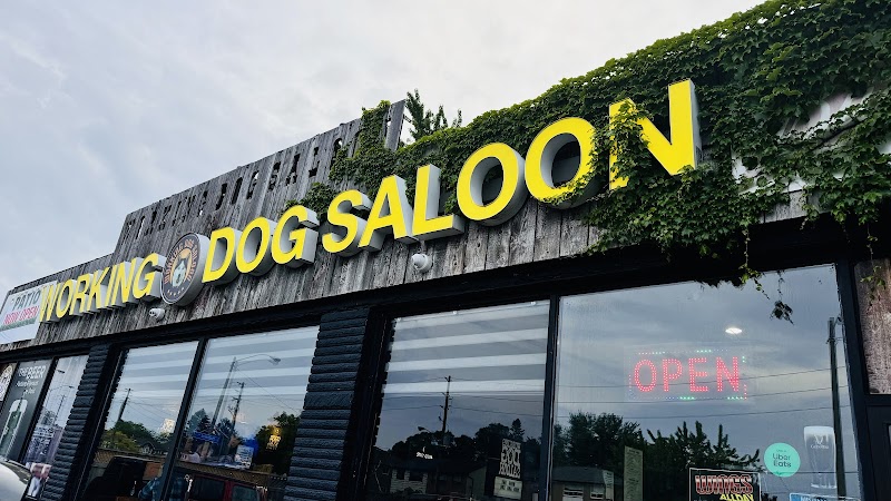Working Dog Saloon